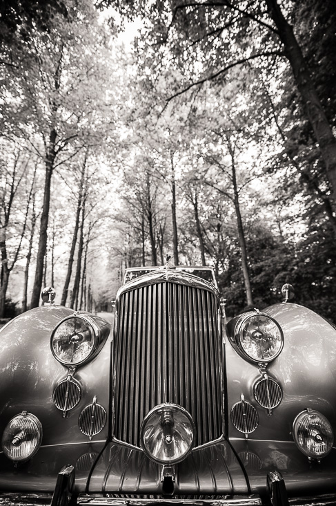 _CHB3564